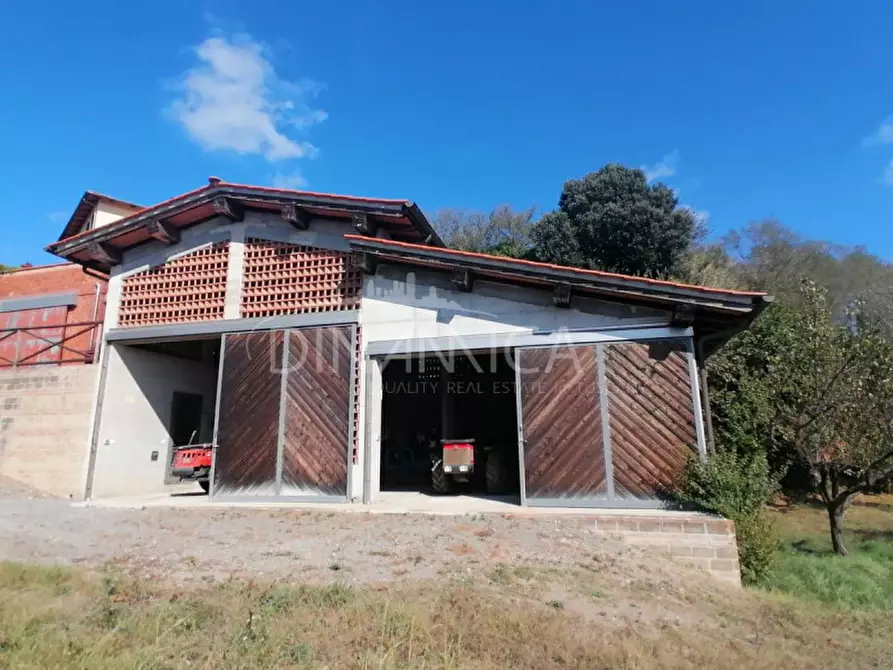 Immagine 8 di Casa indipendente in vendita  in Strada Comunale di Toiano a Palaia