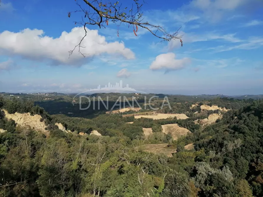 Immagine 11 di Casa indipendente in vendita  in Strada Comunale di Toiano a Palaia