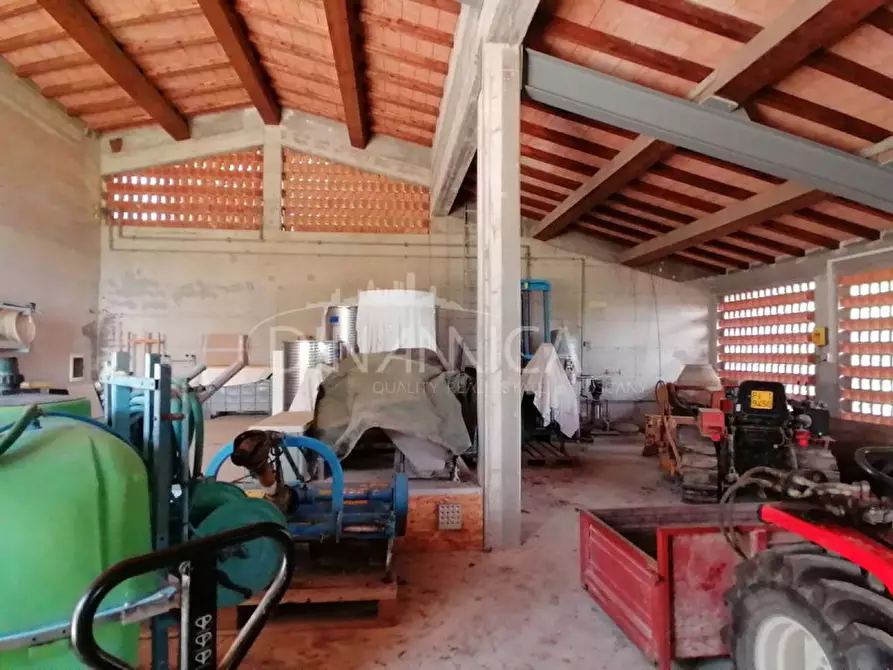 Immagine 43 di Casa indipendente in vendita  in Strada Comunale di Toiano a Palaia