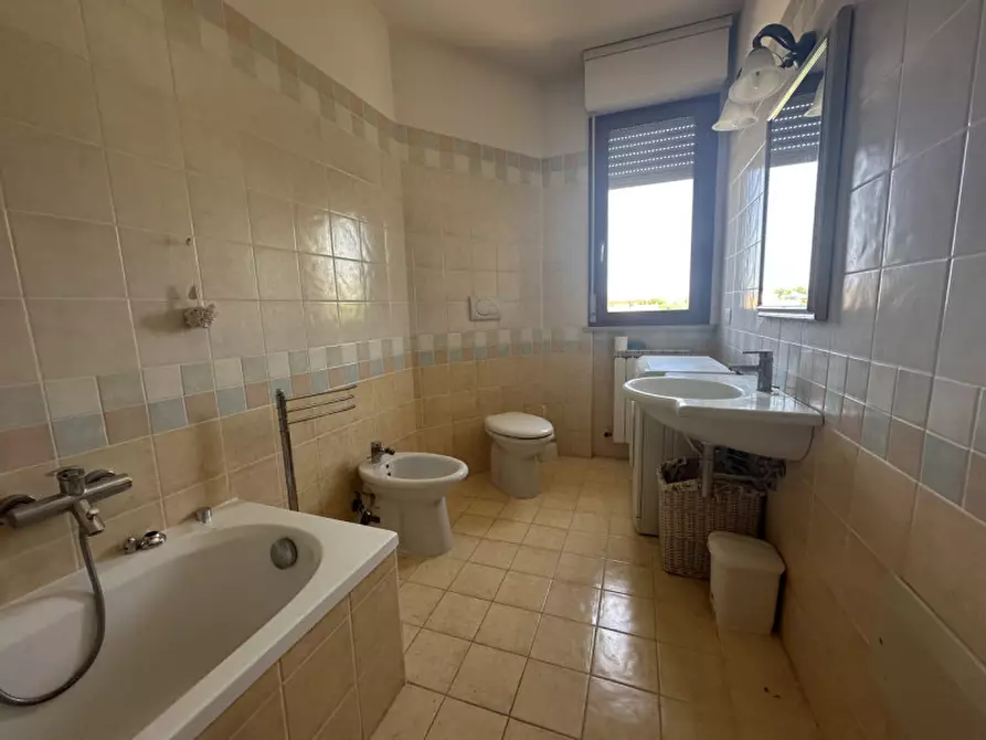 Immagine 13 di Appartamento in vendita  a Trecastelli