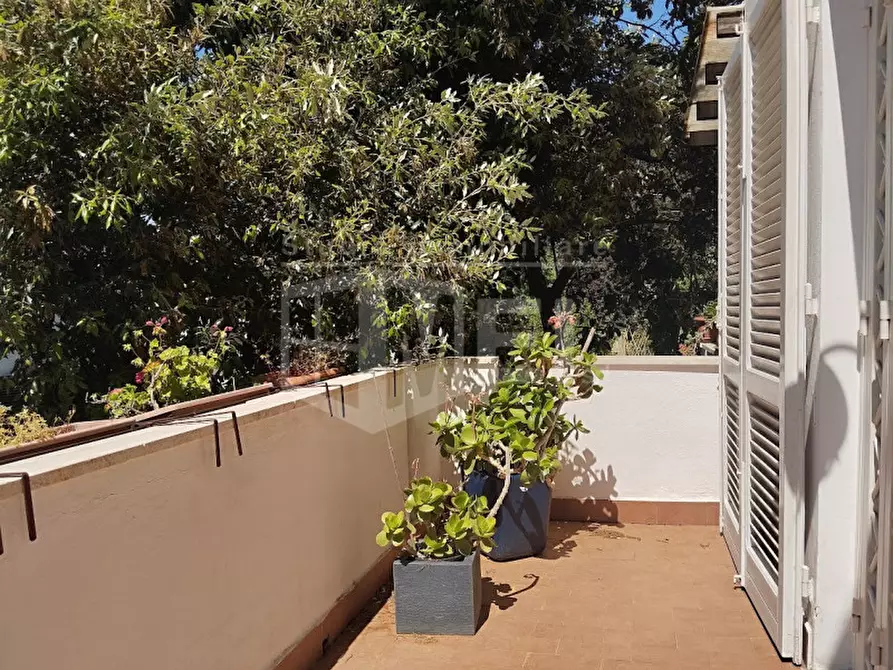 Immagine 26 di Appartamento in vendita  in Via della Porcigliana 5 a Livorno