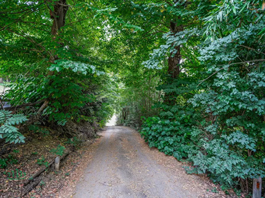 Immagine 5 di Appartamento in vendita  in via setta a Sasso Marconi