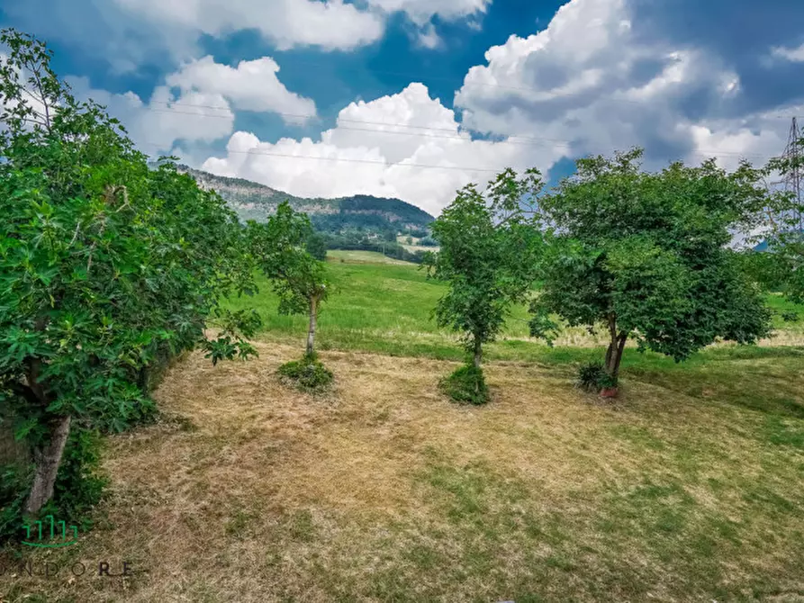 Immagine 11 di Appartamento in vendita  in via setta a Sasso Marconi