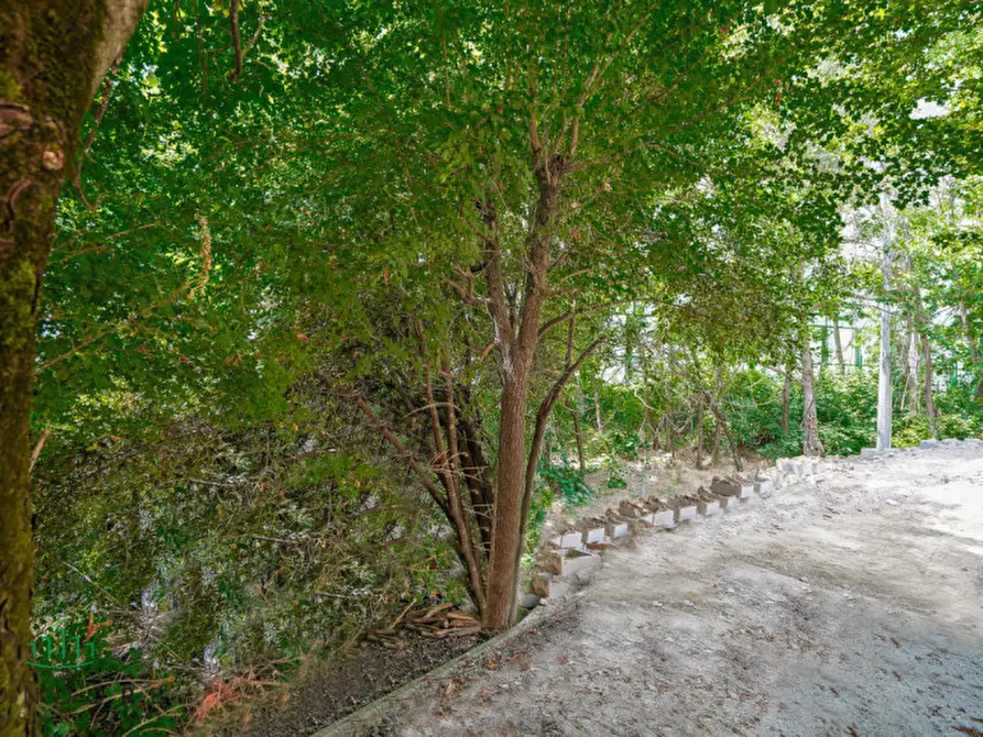 Immagine 14 di Appartamento in vendita  in via setta a Sasso Marconi