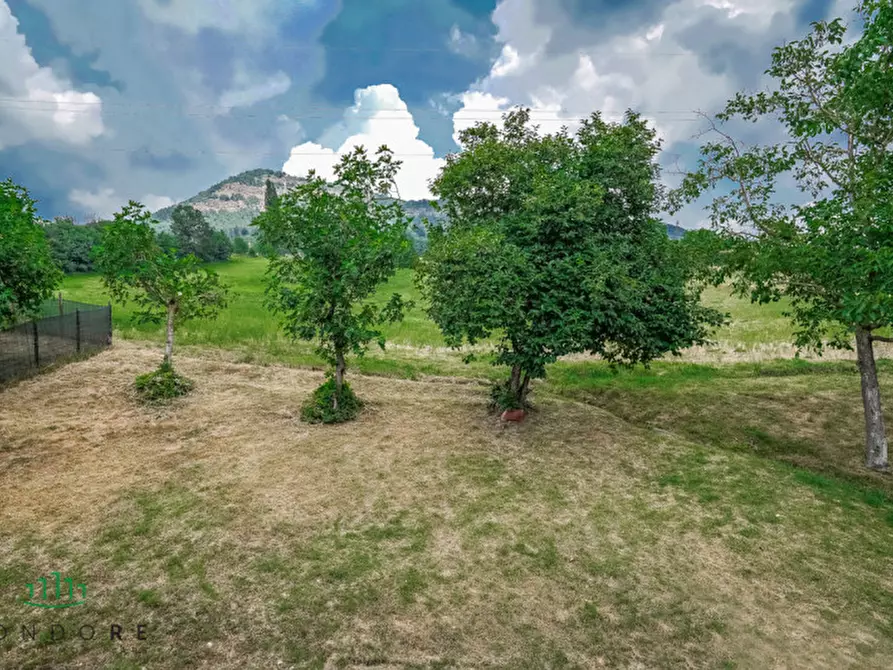 Immagine 17 di Appartamento in vendita  in via setta a Sasso Marconi