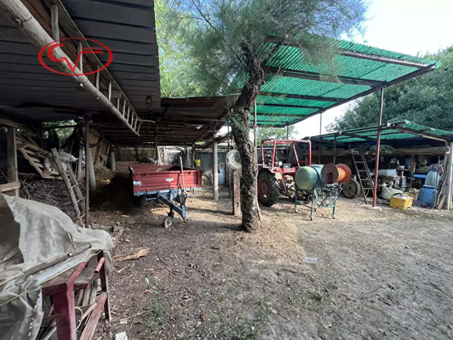 Immagine 9 di Rustico / casale in vendita  in Strada delle Ville a Terranuova Bracciolini