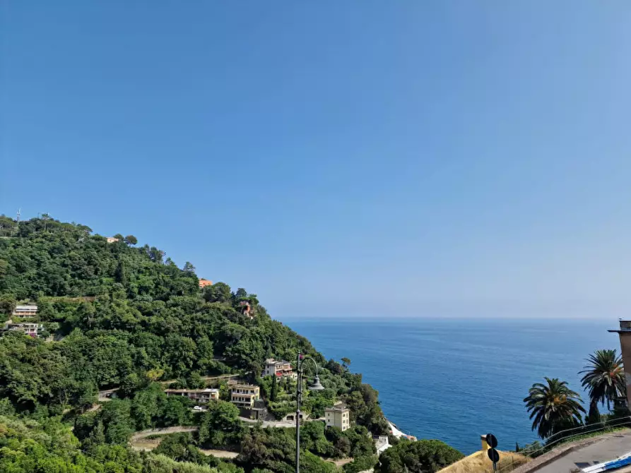 Immagine 5 di Appartamento in affitto  in Via Cornice San Ambrogio a Zoagli