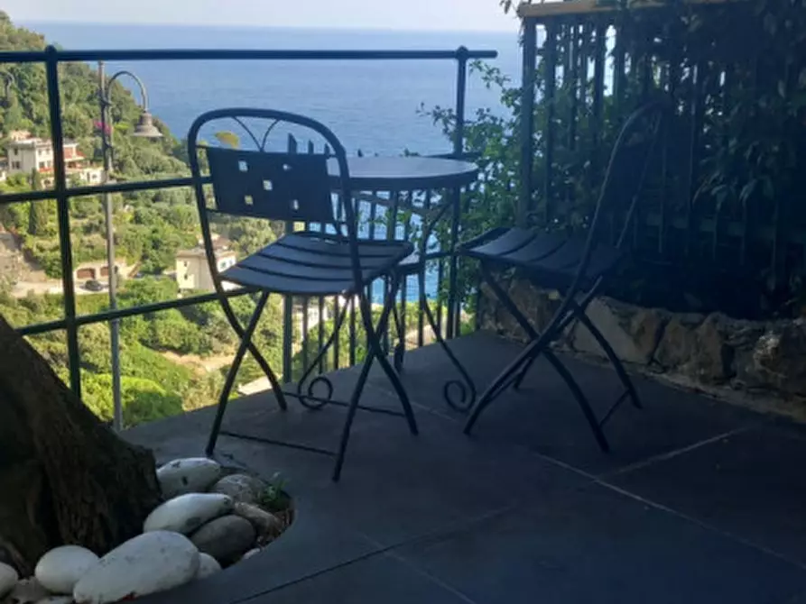 Immagine 17 di Appartamento in affitto  in Via Cornice San Ambrogio a Zoagli