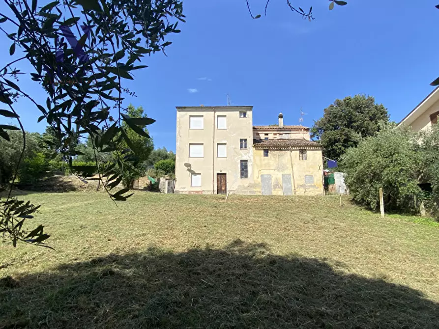 Immagine 1 di Rustico / casale in vendita  a Mondolfo