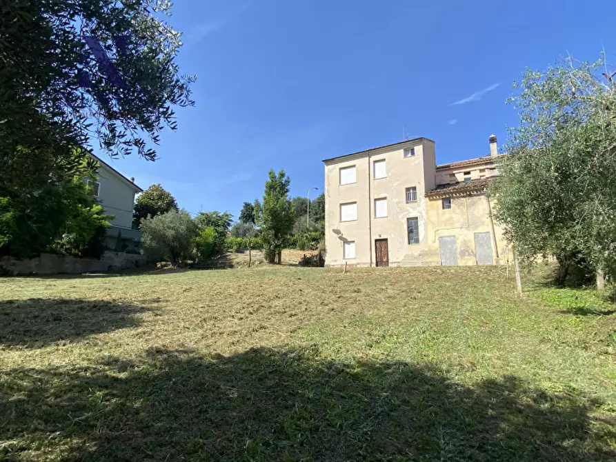 Immagine 2 di Rustico / casale in vendita  a Mondolfo
