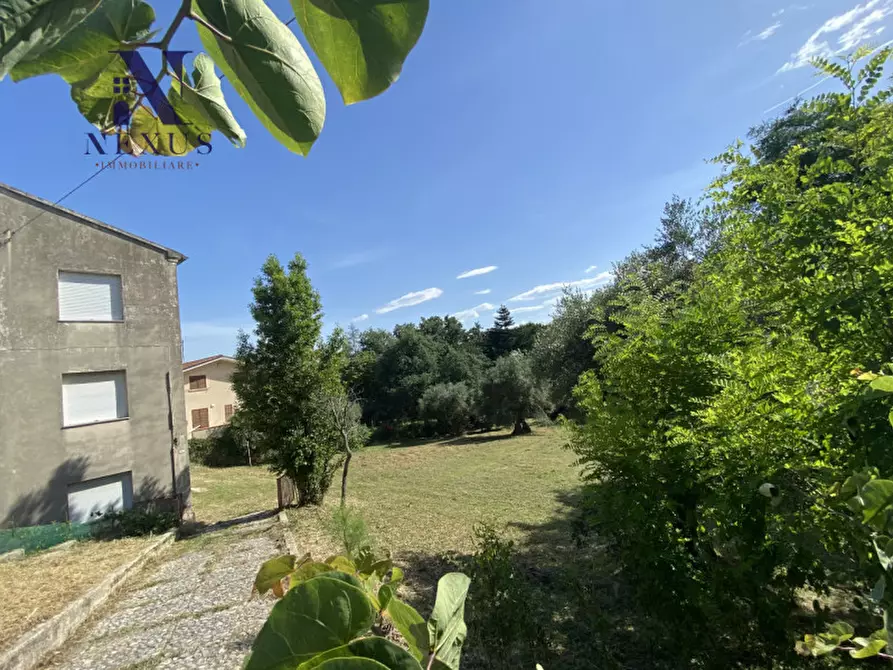 Immagine 4 di Rustico / casale in vendita  a Mondolfo