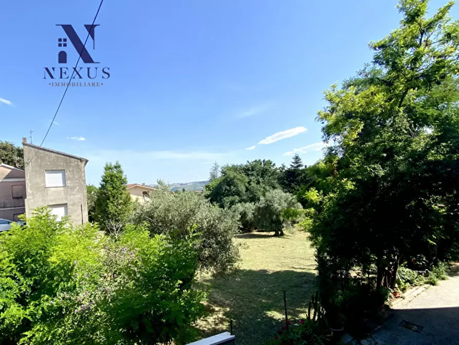 Immagine 5 di Rustico / casale in vendita  a Mondolfo