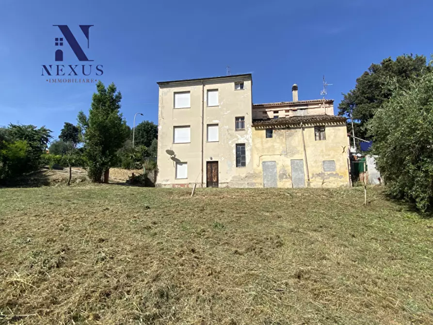 Immagine 7 di Rustico / casale in vendita  a Mondolfo