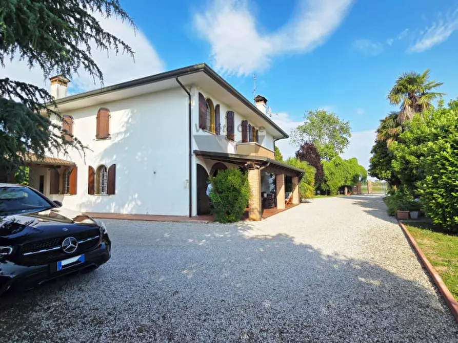 Immagine 21 di Villa in vendita  a Fosso'