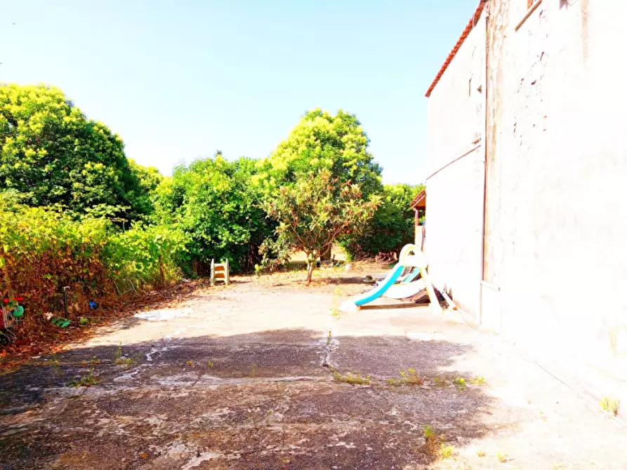 Immagine 5 di Villa in vendita  in Strada Ponte delle Tavole 195 a Palombara Sabina