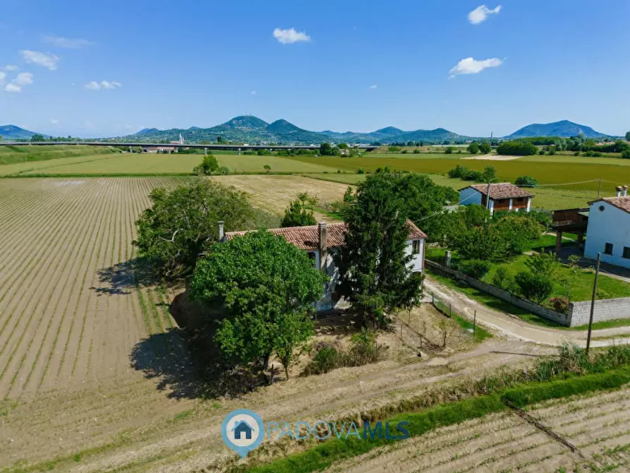 Immagine 3 di Casa indipendente in vendita  in Via Crocetta a Este