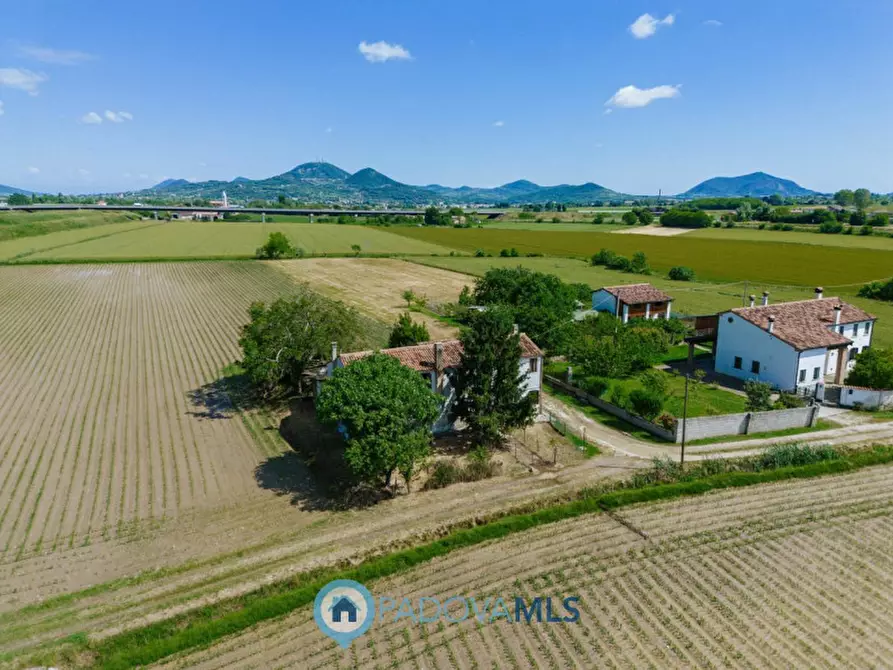 Immagine 4 di Casa indipendente in vendita  in Via Crocetta a Este