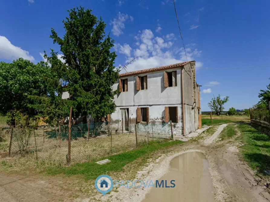 Immagine 22 di Casa indipendente in vendita  in Via Crocetta a Este