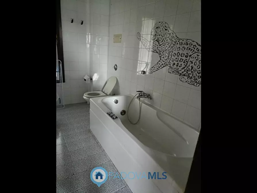 Immagine 10 di Casa bifamiliare in vendita  in Via Friuli 1 a Selvazzano Dentro