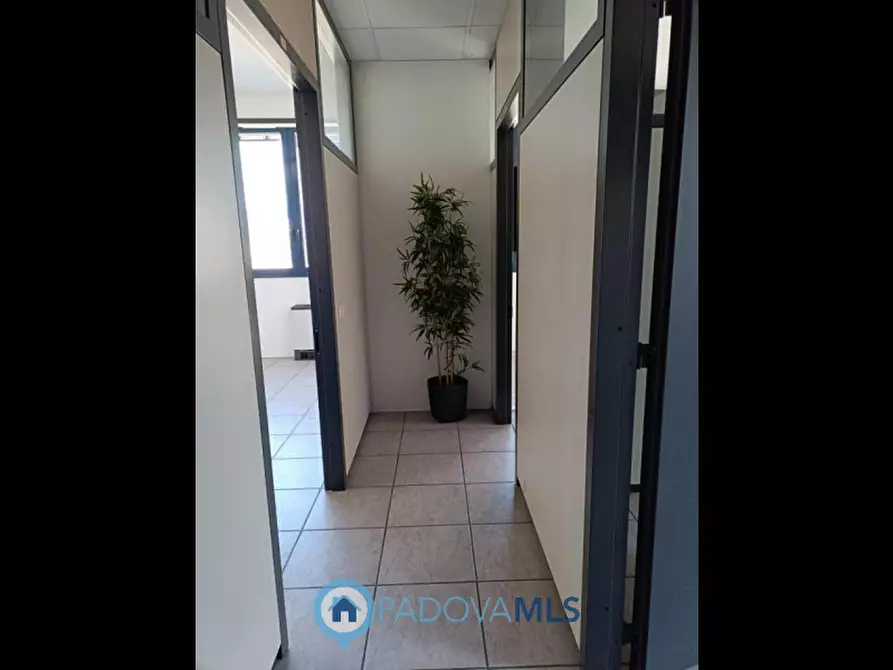 Immagine 8 di Ufficio in vendita  in Via Panà, 56/B a Noventa Padovana