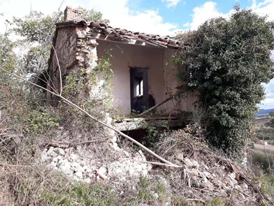Immagine 4 di Casa indipendente in vendita  in Prosano a Arcevia
