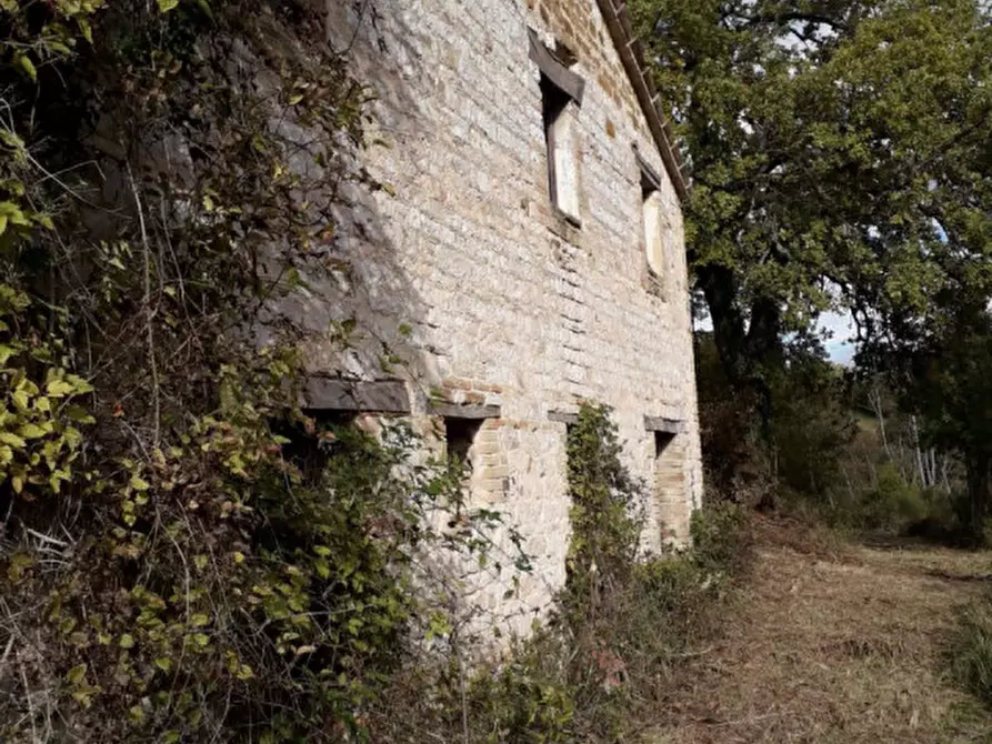 Immagine 8 di Casa indipendente in vendita  in Prosano a Arcevia