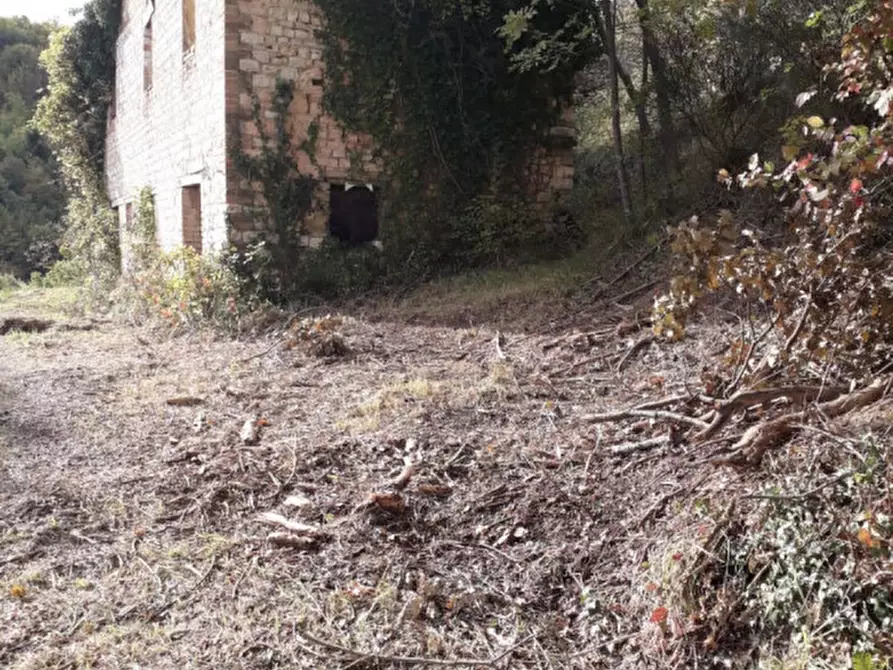 Immagine 14 di Casa indipendente in vendita  in Prosano a Arcevia