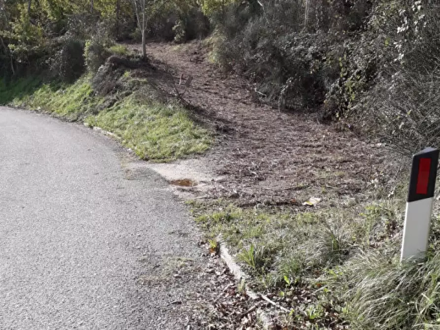 Immagine 15 di Casa indipendente in vendita  in Prosano a Arcevia