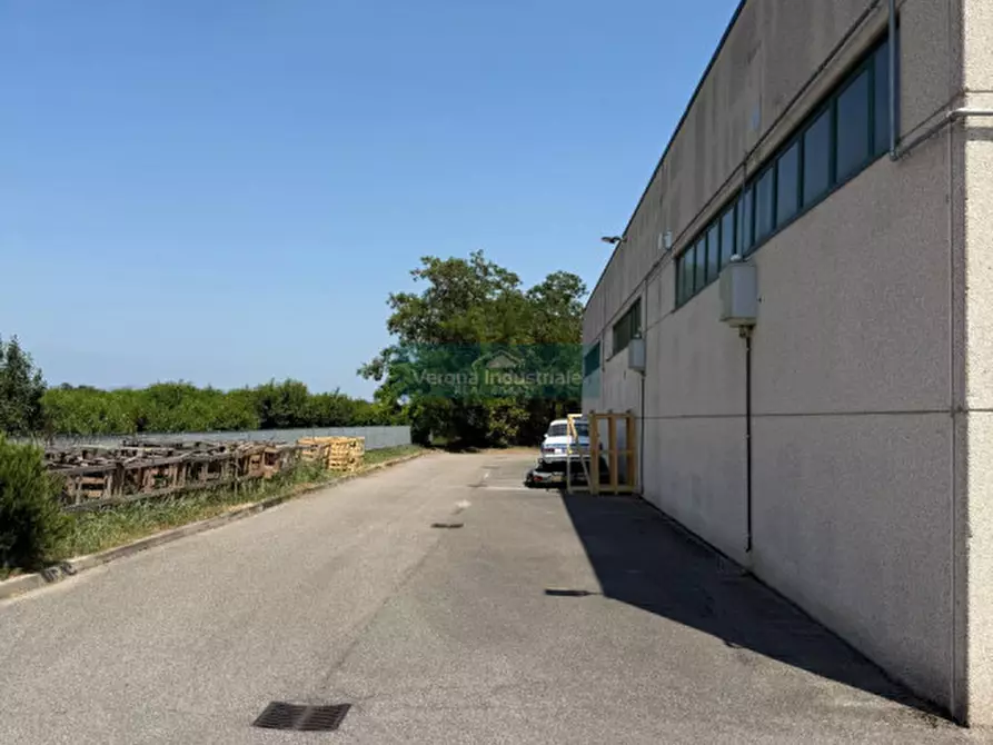 Immagine 3 di Capannone industriale in vendita  in via tezze 98 a Sommacampagna