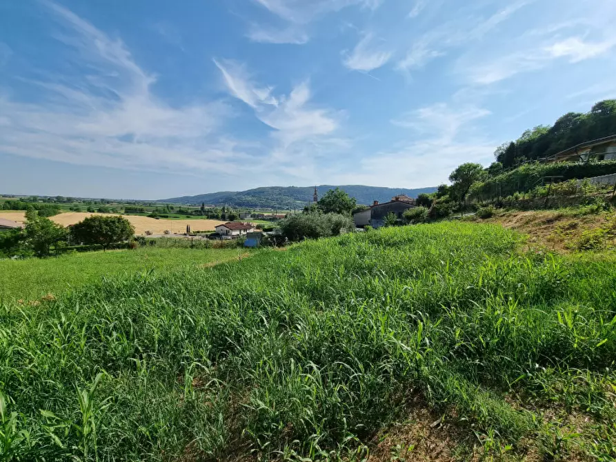 Immagine 2 di Terreno in vendita  in via strada vecchia a Val Liona