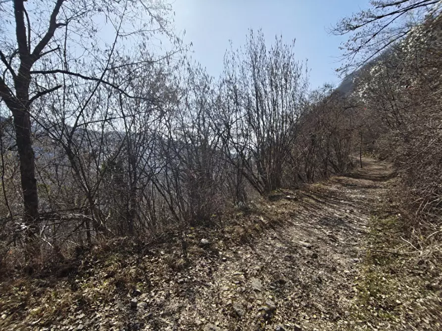 mansarda in vendita a Belluno in zona Sopracroda