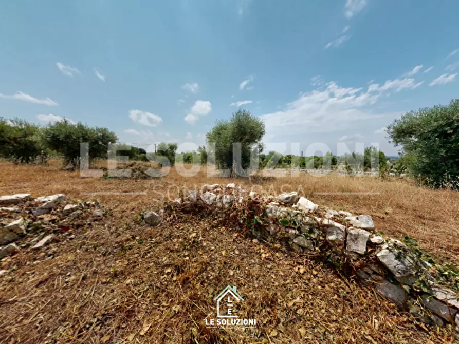 Immagine 8 di Rustico / casale in vendita  in STRADA COMUNALE LA CUPA I a Putignano