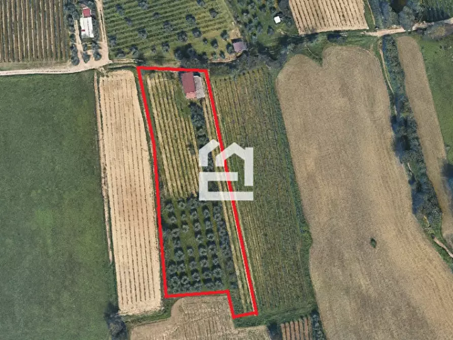 Immagine 1 di Terreno in vendita  in via aldo merler a Puegnago Sul Garda