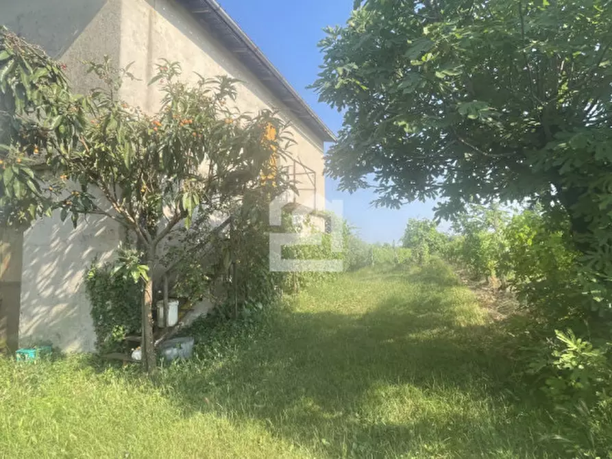 Immagine 3 di Terreno in vendita  in via aldo merler a Puegnago Sul Garda