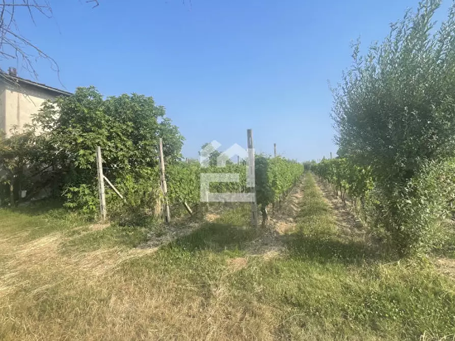 Immagine 5 di Terreno in vendita  in via aldo merler a Puegnago Sul Garda