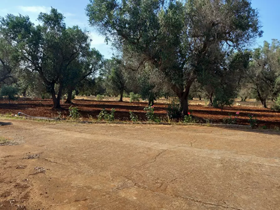 Immagine 23 di Villa in vendita  in C.da Don Giulio a Francavilla Fontana