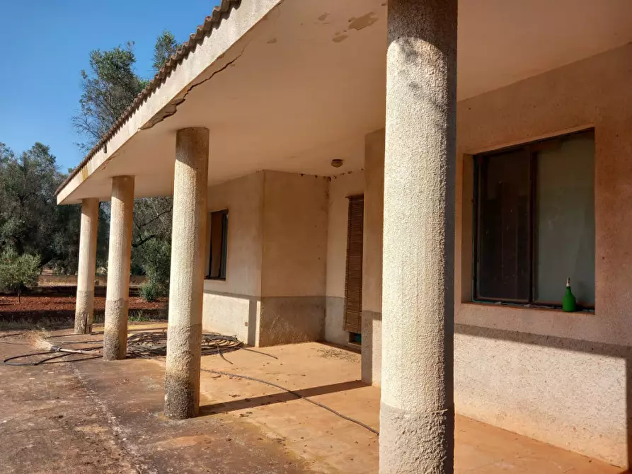 Immagine 24 di Villa in vendita  in C.da Don Giulio a Francavilla Fontana