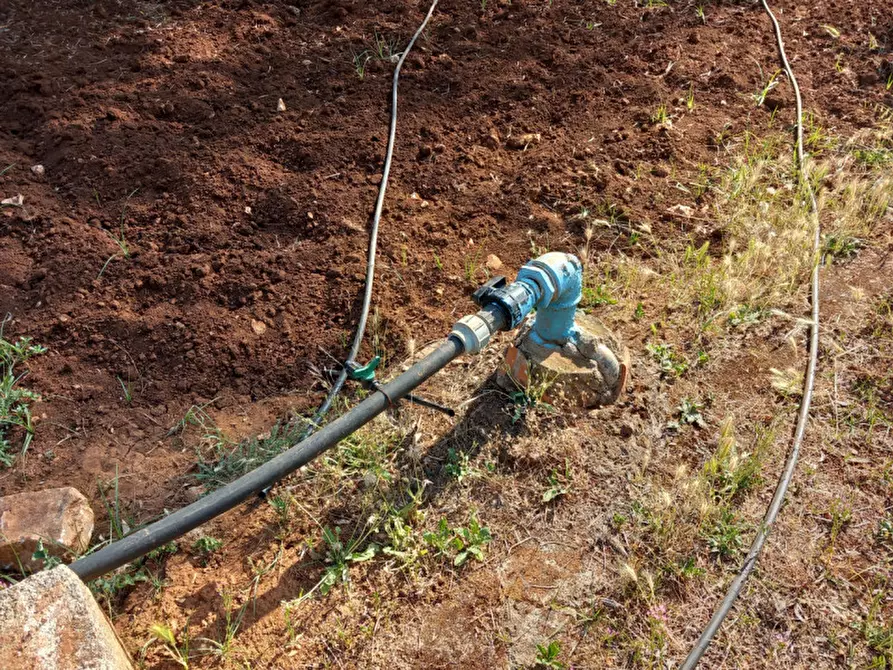 Immagine 26 di Villa in vendita  in C.da Don Giulio a Francavilla Fontana