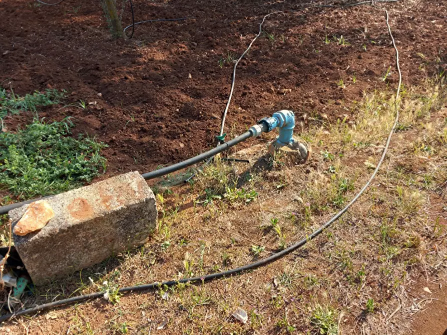 Immagine 27 di Villa in vendita  in C.da Don Giulio a Francavilla Fontana