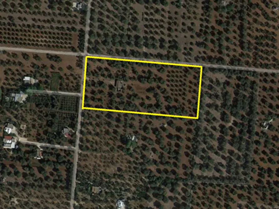 Immagine 28 di Villa in vendita  in C.da Don Giulio a Francavilla Fontana