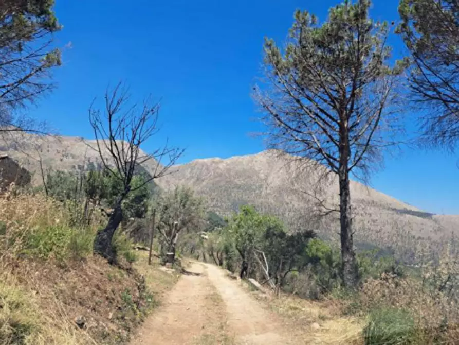 Immagine 3 di Terreno in vendita  in Via Montefiascone, 90046 Monreale PA, Italia a Monreale