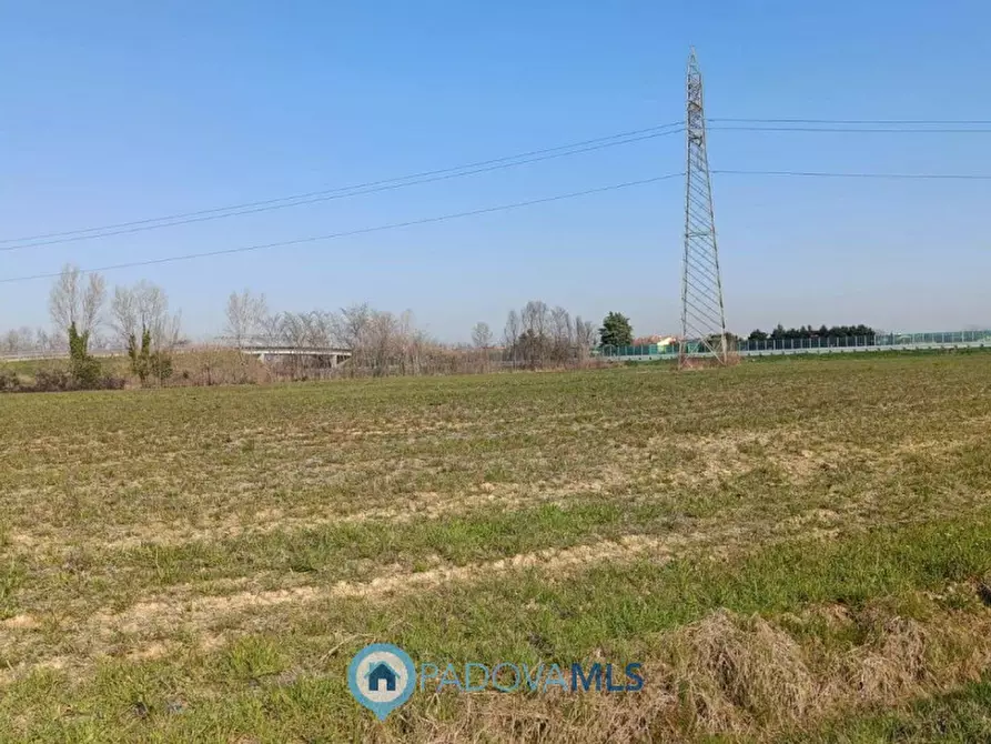 Immagine 4 di Casa indipendente in vendita  in via molini a Villafranca Padovana