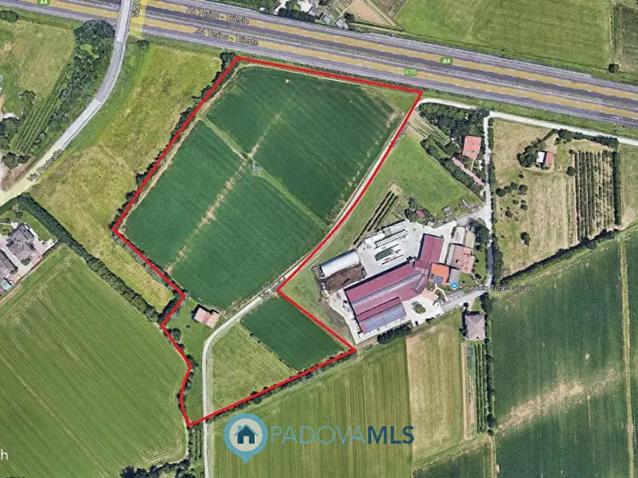 Immagine 5 di Casa indipendente in vendita  in via molini a Villafranca Padovana