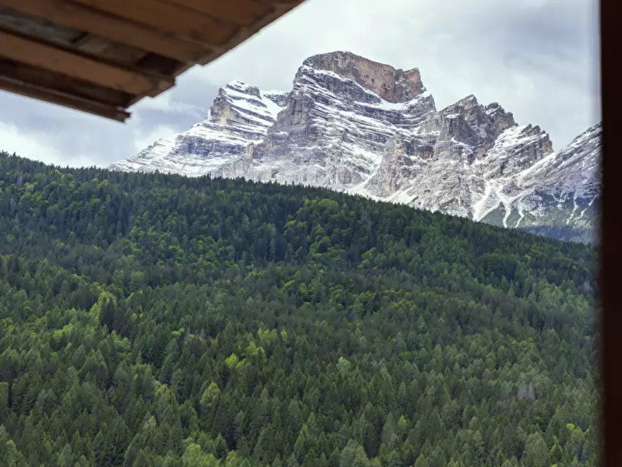 Immagine 10 di Appartamento in vendita  in via pier fortunato calvi 8 a Borca Di Cadore