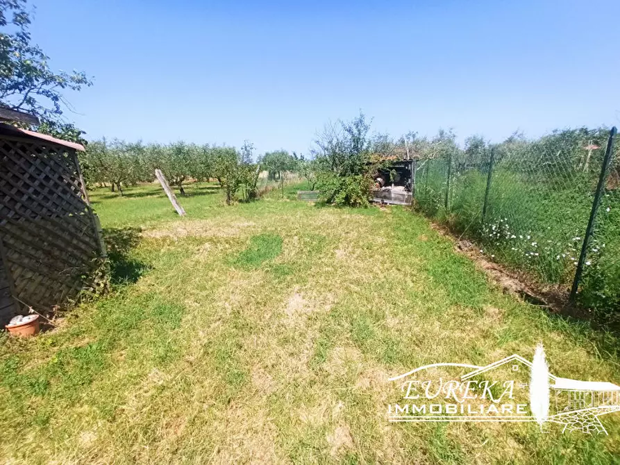 Immagine 30 di Villetta a schiera in vendita  in NARDELLI a Castiglione Del Lago