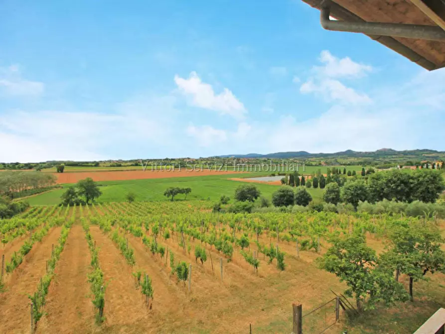 Immagine 21 di Appartamento in vendita  in Via Della Resistenza a Montepulciano