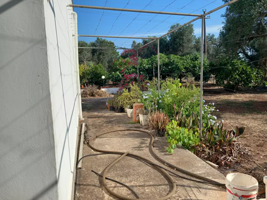 Immagine 18 di Villa in vendita  in C.da Mileto a Latiano