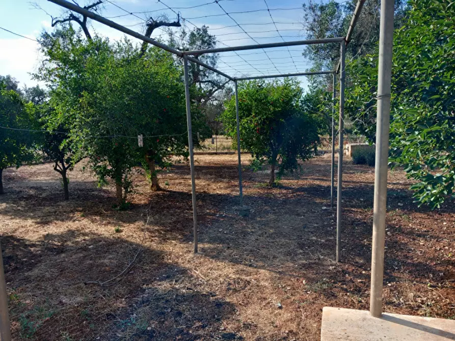 Immagine 21 di Villa in vendita  in C.da Mileto a Latiano