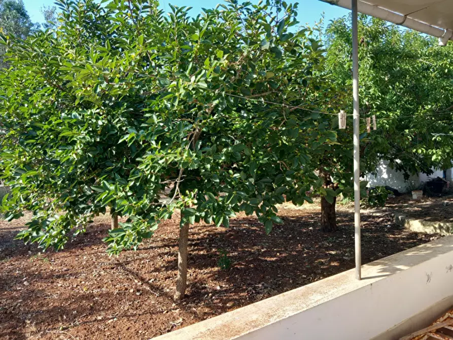 Immagine 22 di Villa in vendita  in C.da Mileto a Latiano