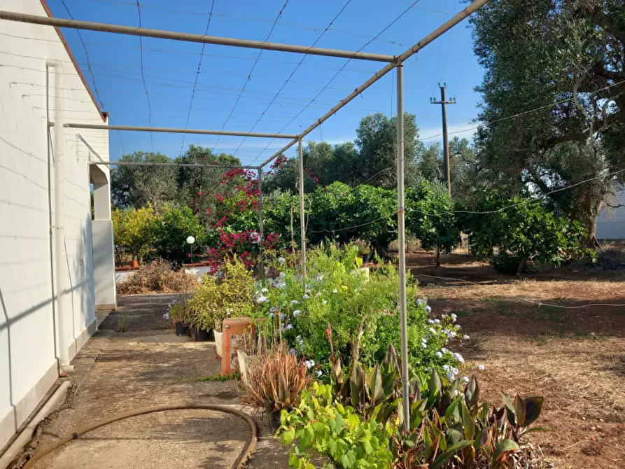 Immagine 23 di Villa in vendita  in C.da Mileto a Latiano